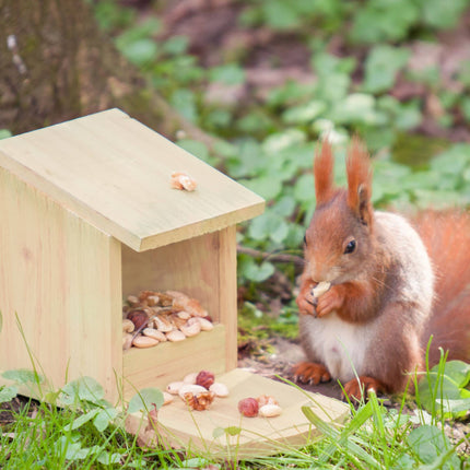 Eichhörnchenfutterspender zum Hinstellen