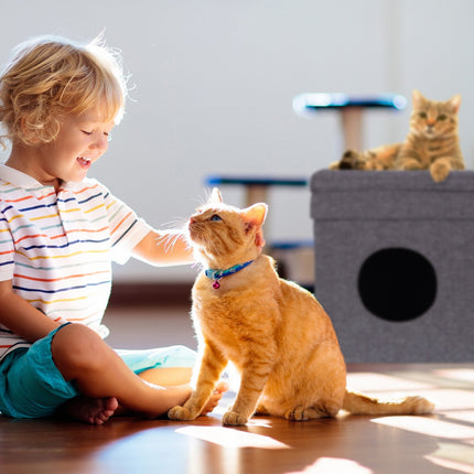 Tabouret avec trou pour chat en gris