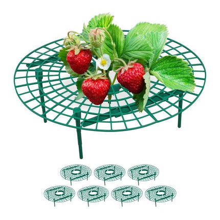 Support pour fraises, pack de 8