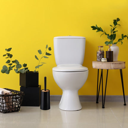 Brosse de toilette avec récipient