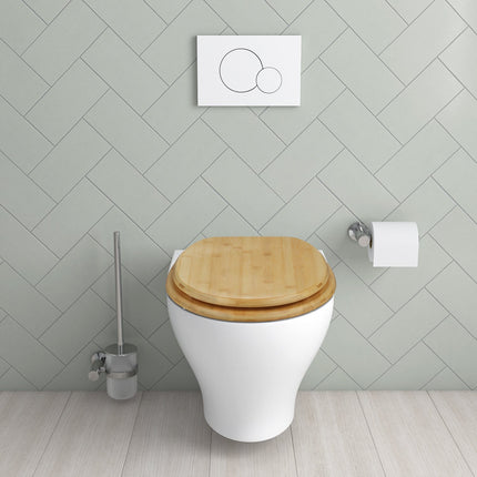 Toilettendeckel mit Absenkautomatik
