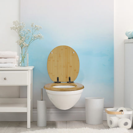 Toilettendeckel mit Absenkautomatik
