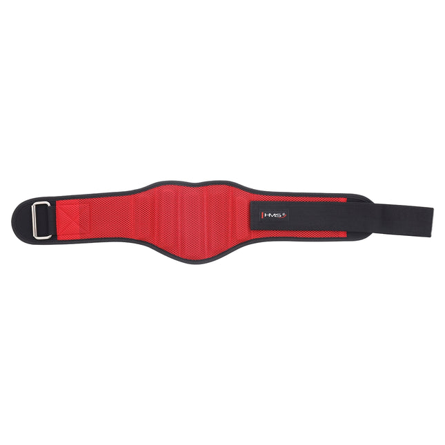 Training Belt, Size L, Adjustable Fitness Accessory
