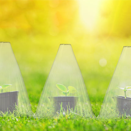 Cônes de protection transparents pour plantes, lot de 80