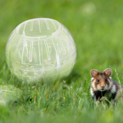 Transparenter Hamsterball Ø 14 cm