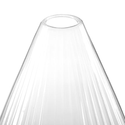Lot de 10 chapeaux transparents pour plantes