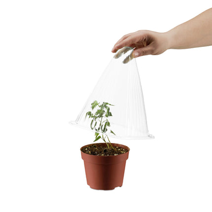 Lot de 10 chapeaux transparents pour plantes