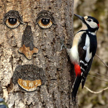 Baumgesicht Naturgeist