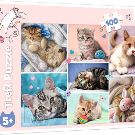 Trefl Puzzle In der Katzenwelt 100 Teile