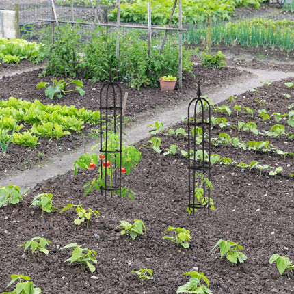 Treillis 100 cm, lot de 2