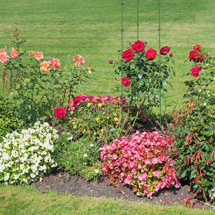 Rankgitter 120 cm 5er Set