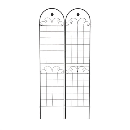 Rankgitter 220 cm 2er Set schwarz