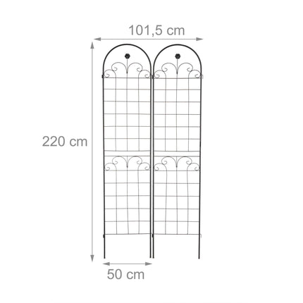 Rankgitter 220 cm 2er Set schwarz