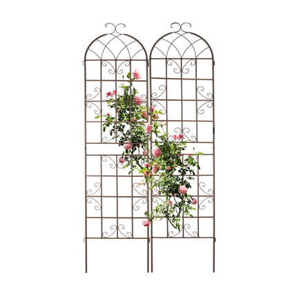 Rankgitter 220 cm 2er Set braun