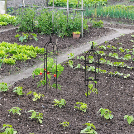 Rankgitter 70 cm, 2er-Set