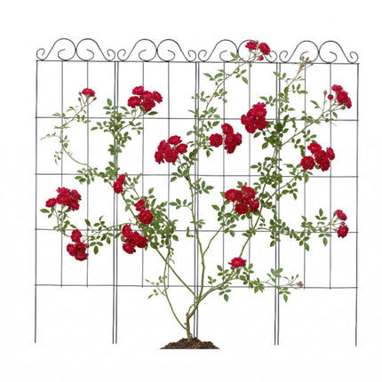 Rankgitter 4er Set für Kletterpflanzen, Metallstütze