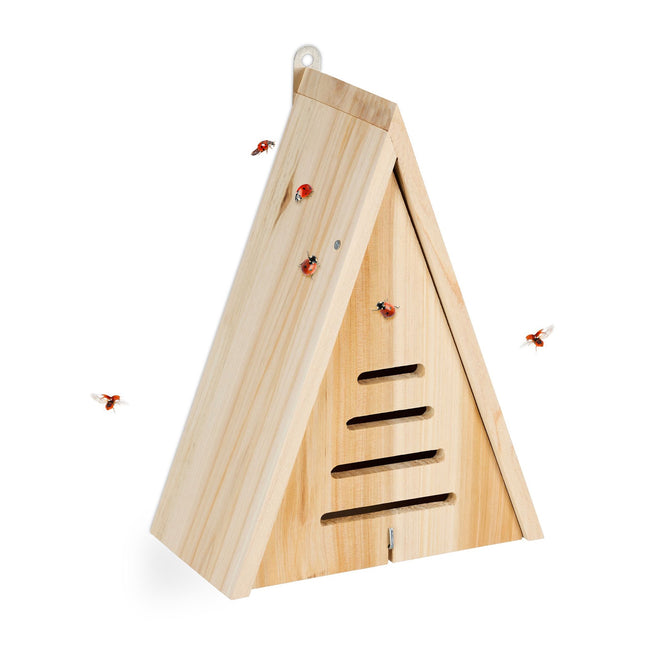 Maison de coccinelle triangulaire