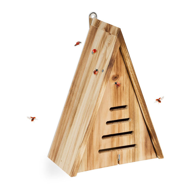 Maison de coccinelle triangulaire
