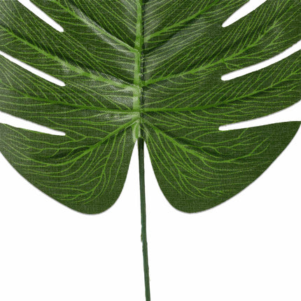 Ensemble de 72 feuilles tropicales