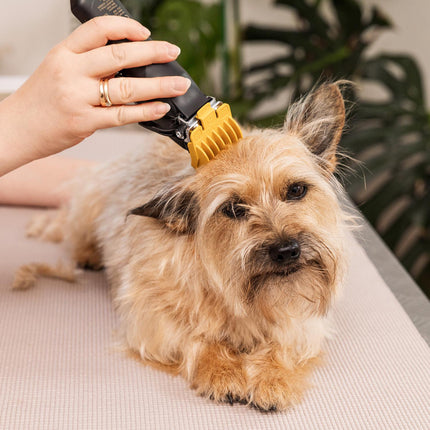 Tondeuse sans fil pour animaux Wahl Colour Pro avec 8 sabots de guidage