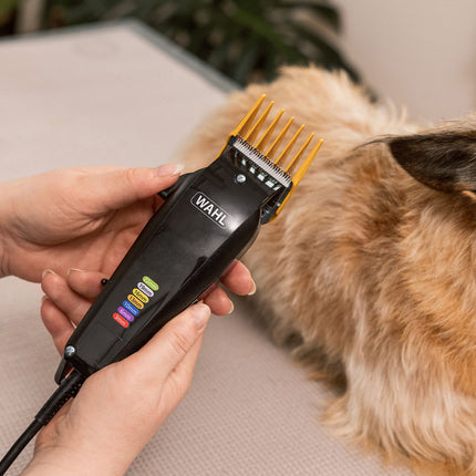 Wahl Multi-Cut Hundehaarschneidemaschine für kleine und mittelgroße Hunde