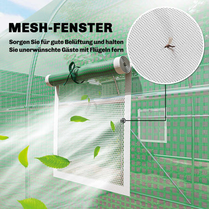 Serre tunnel de plain-pied, 2 x 3 m, couverture en polyéthylène, structure en acier