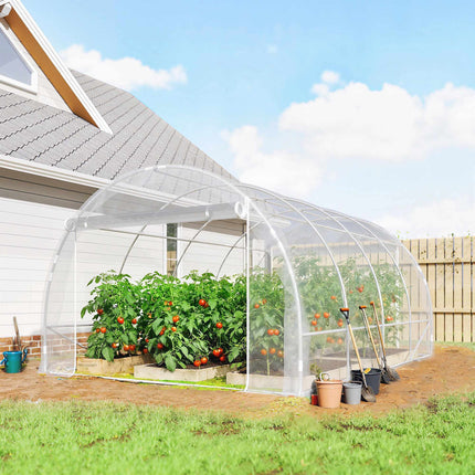 Serre tunnel de jardin, structure en acier, bâche en polyéthylène anti-UV