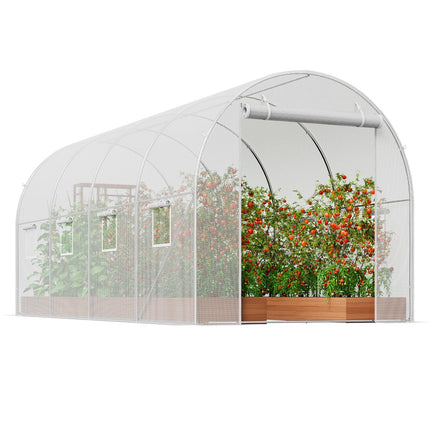 Walk-In Tunnel Greenhouse 14.6x6.4 ft, Galvanized Frame