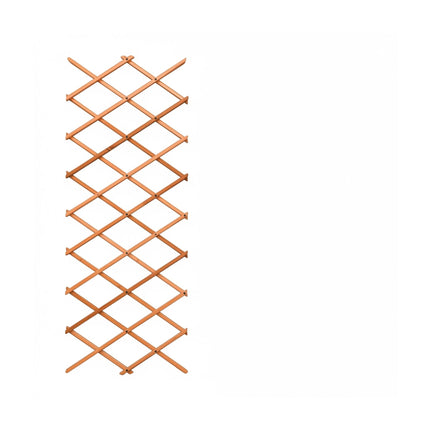 Ensemble de treillis mural pour plantes, 3 pièces extensibles en bois