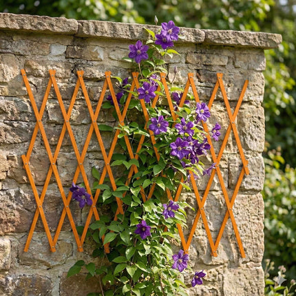 Ensemble de treillis mural pour plantes, 3 pièces extensibles en bois