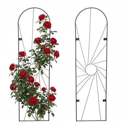 Ensemble de treillis mural, lot de 2, en acier thermolaqué pour plantes grimpantes