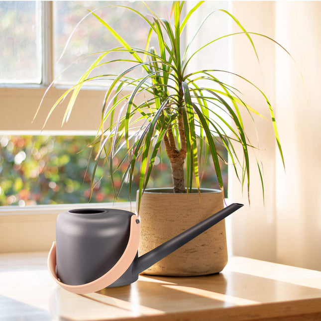Arrosoir pour plantes en pot 1,7 litres