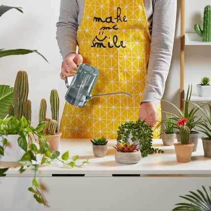 Arrosoir pour plantes en pot 1 litre