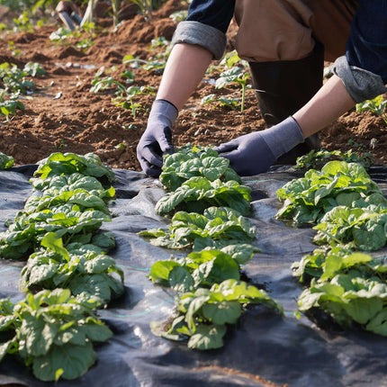 Weed Barrier Landscape Fabric 3.96 x 32.92m, Woven PP