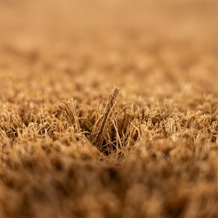 Willkommen Kokos-Fußmatte, rutschfest, 60x40 cm