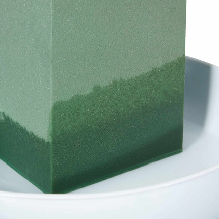 Mousse florale humide, paquet de 3
