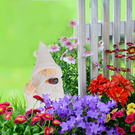 Nain de jardin blanc avec majeur
