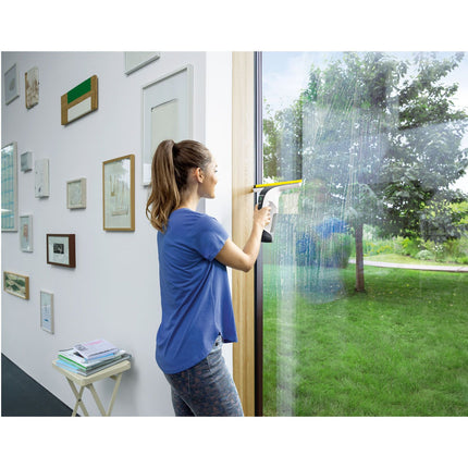 Fensterwascher WV 6 Plus