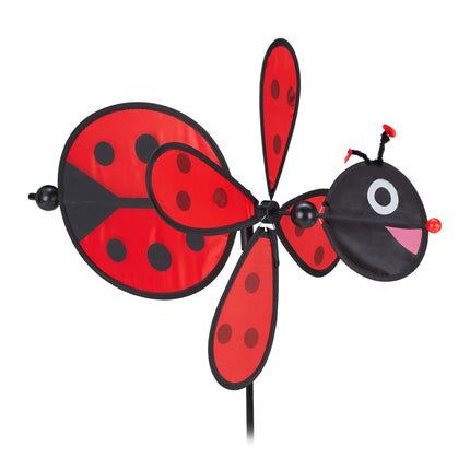 Coccinelle à vent