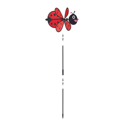 Coccinelle à vent