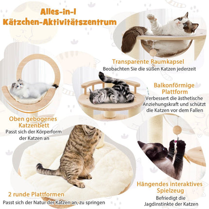 Arbre à Chat en Bois 4 Formes DIY avec Plateformes & Capsule Spatiale & Poteaux en Sisal 60 x 60 x 146 cm Bois de Chêne Beige