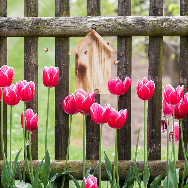 Maison de coccinelle en bois