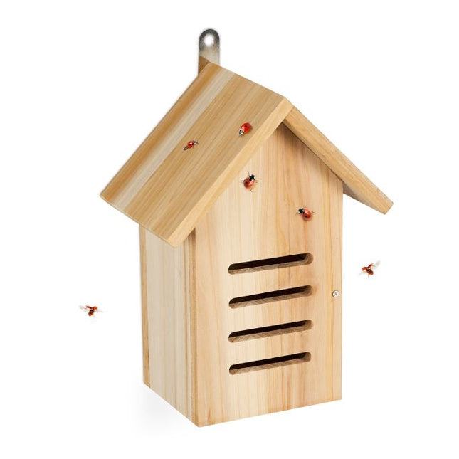 Maison de coccinelle en bois