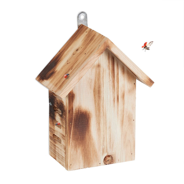 Maison de coccinelle en bois