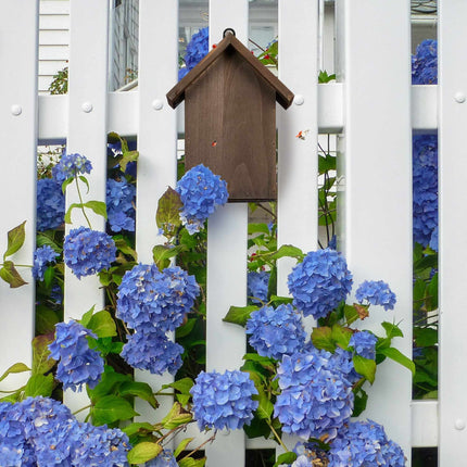 Maison de coccinelle en bois