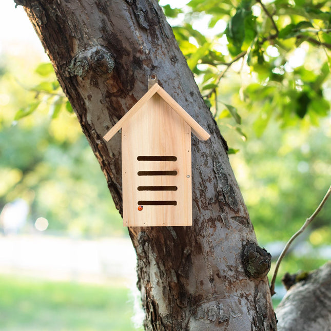 Maison de coccinelle en bois