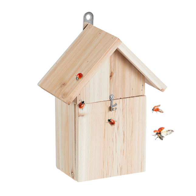 Maison de coccinelle en bois