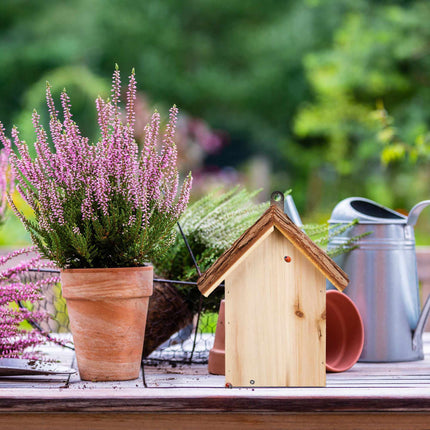 Maison de coccinelle en bois