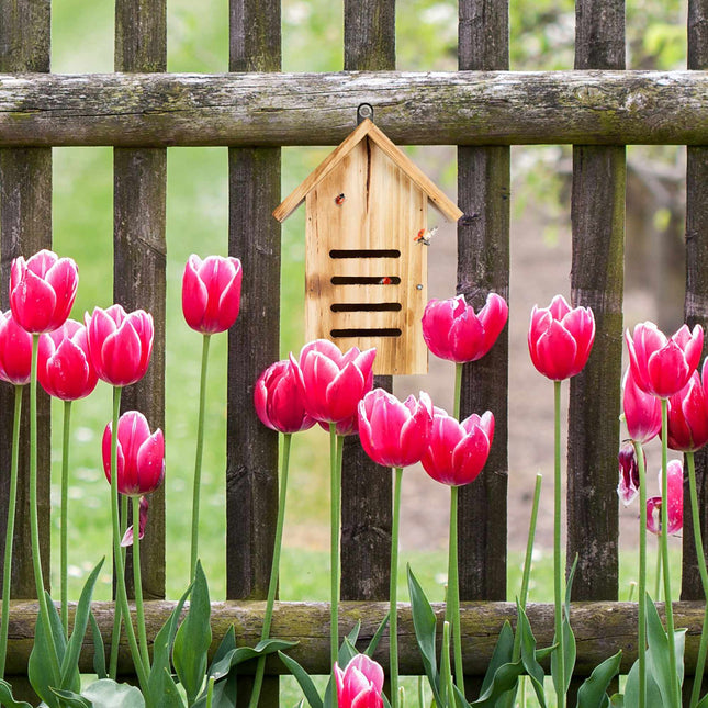 Maison de coccinelle en bois avec des flammes
