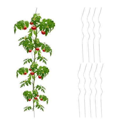 lot de 10 tiges spirales Tomates